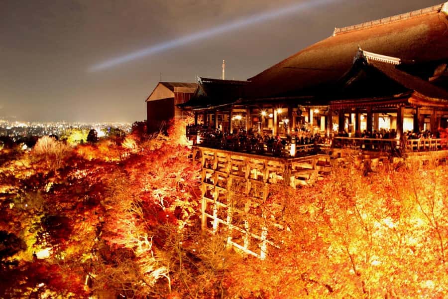 Kyoto: Private Customizable Day Trip by Car - What the $581 group price really buys