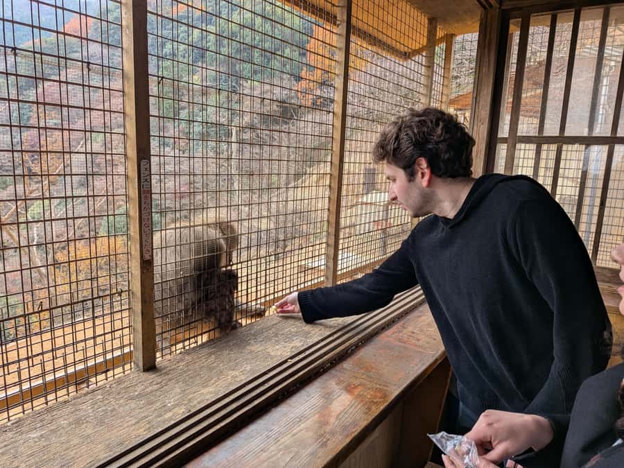 Kyoto: Private Customizable Day Trip by Car - Who will get the most from this Kyoto day trip