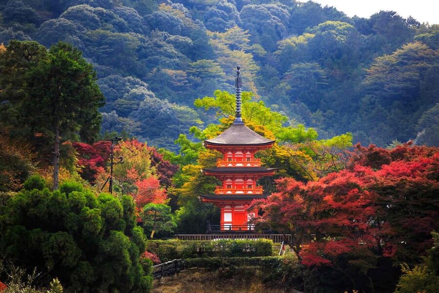 Kyoto: Private Highlights Tour with Guide and Luxury Vehicle - The day’s hardest choice: seeing more or staying longer