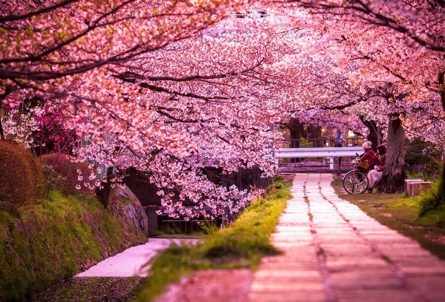 Kyoto: Private Highlights Tour with Guide and Luxury Vehicle - Kiyomizu-dera leads into old Kyoto streets