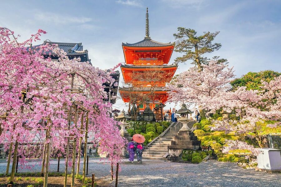 Kyoto: Private Highlights Tour with Guide and Luxury Vehicle - Gion gives the day its old-city finish