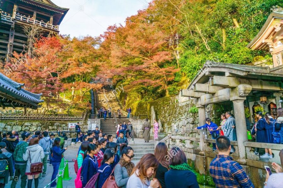Kyoto: Private Tour with Local Licensed Guide - Fushimi Inari and the vermilion gate corridor