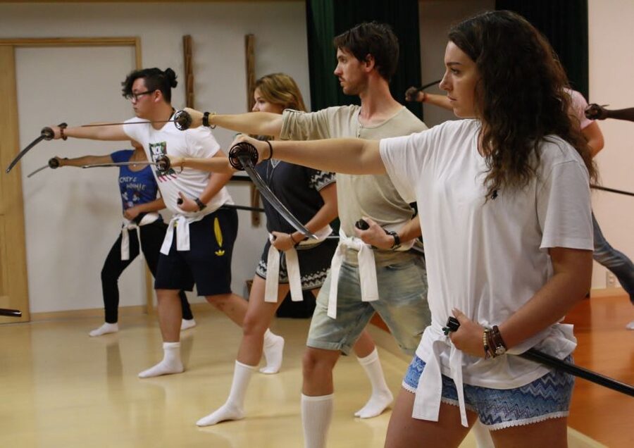 Kyoto: Samurai Sword Class by Experts in Traditional Arts - Who should book this experience?