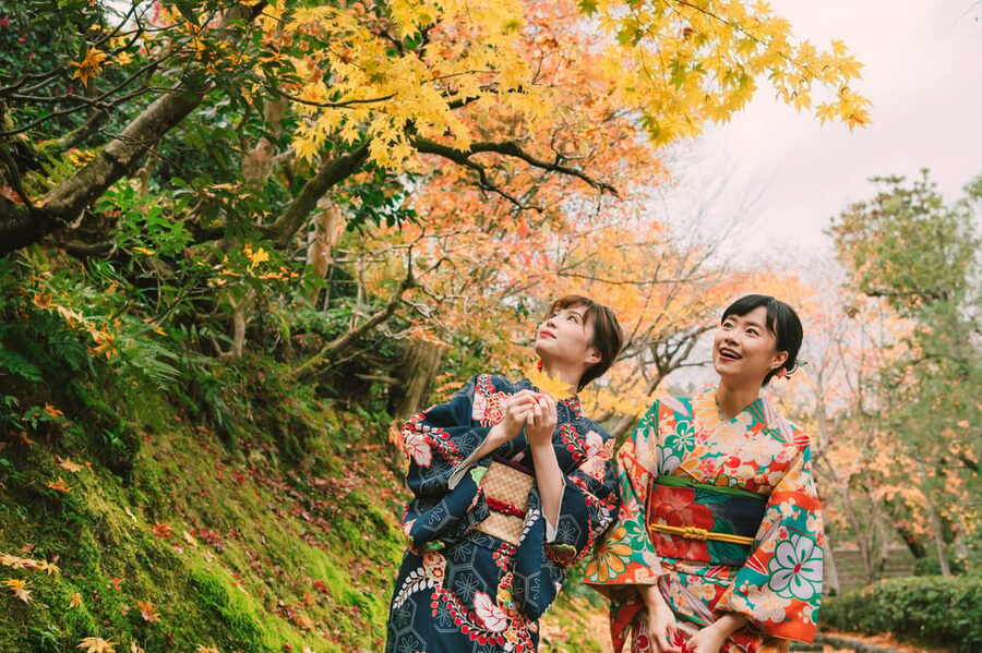 Kyoto: Tea Ceremony in 100-year-old Kyo-Machiya Townhouse - What you learn from making the tea yourself