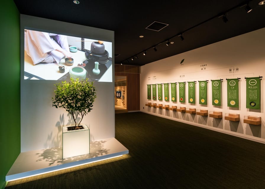 Kyoto: Tea Museum Tickets and Matcha Grinding Experience - Views toward tea fields and gardens