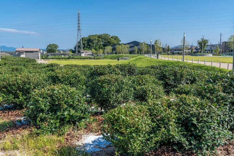 Kyoto: Tea Museum Tickets and Matcha Grinding Experience - Booking, cancellation, and access