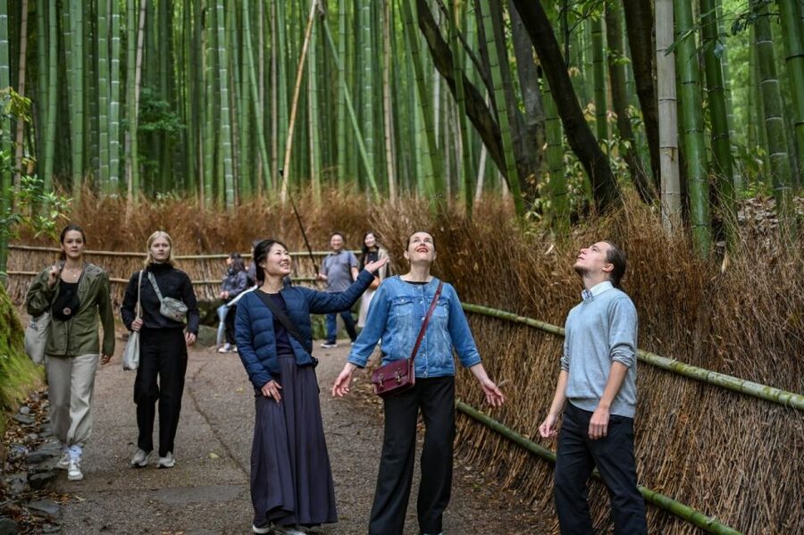 Kyoto to Arashiyama Day Trip - Private & Personalized - Why Arashiyama works so well as a private day trip