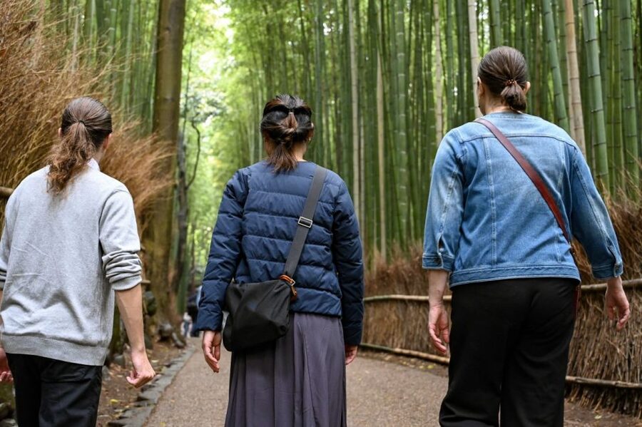 Kyoto to Arashiyama Day Trip - Private & Personalized - Tenryū-ji and the garden that anchors the route
