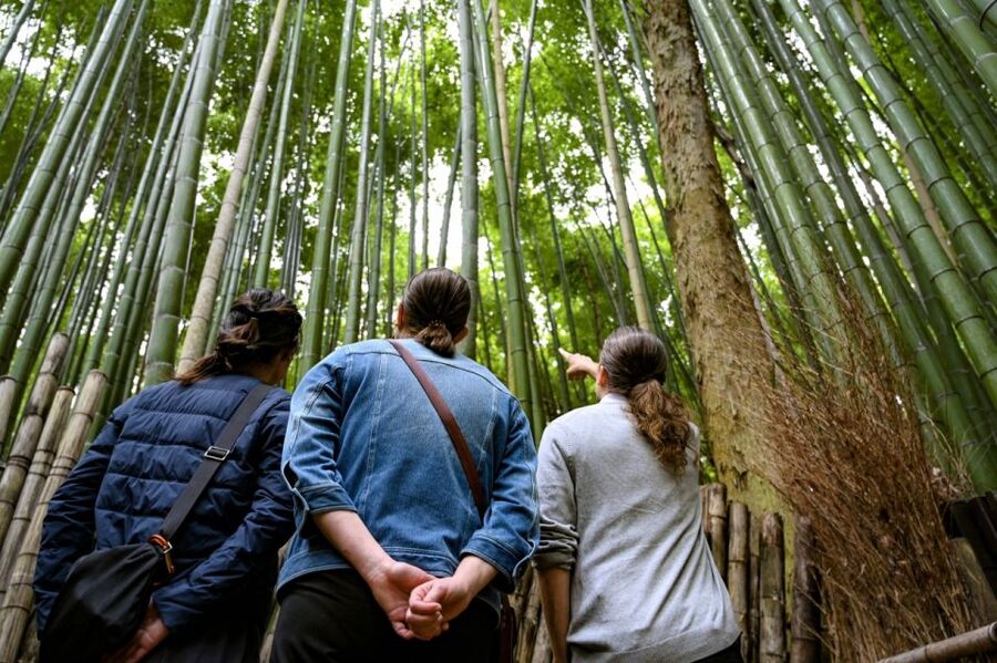Kyoto to Arashiyama Day Trip - Private & Personalized - Okochi Sanso Villa, a refined garden pause