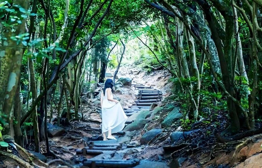 Kyushu Tour From Fukuoka: Itoshima Nature & Coastal Scenery - What the $67 price really covers