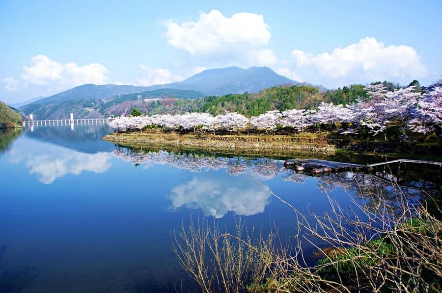 Magome-juku, Tsumago-juku & Ena-kyo 1d Bus Tour from Nagoya - Kokeizan Eihoji Temple starts the cultural side