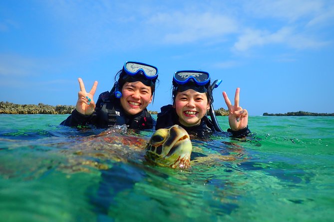 [Miyako Island/Half Day] Sea Turtle Snorkeling - Coral, fish, and the turtle-free backup plan