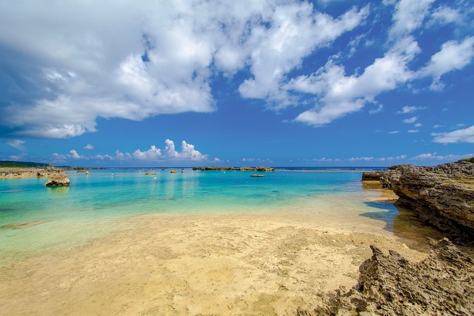 [Miyako Island/Half Day] Sea Turtle Snorkeling - The guide support is a major part of the value