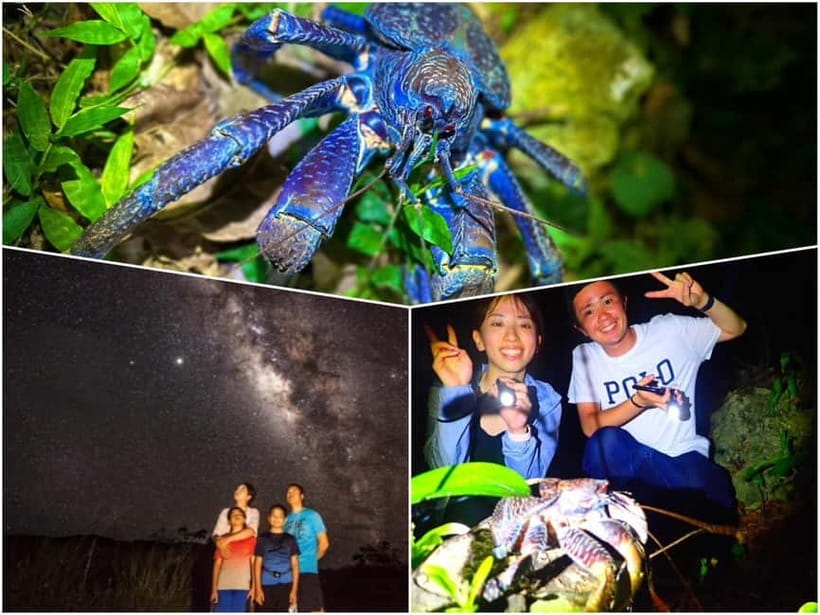 Miyako Island: Stars & Jungle Night Walking Tour - Quick take: what makes this night walk worthwhile