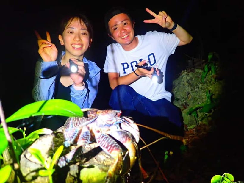 Miyako Island: Stars & Jungle Night Walking Tour - Who should book this experience?