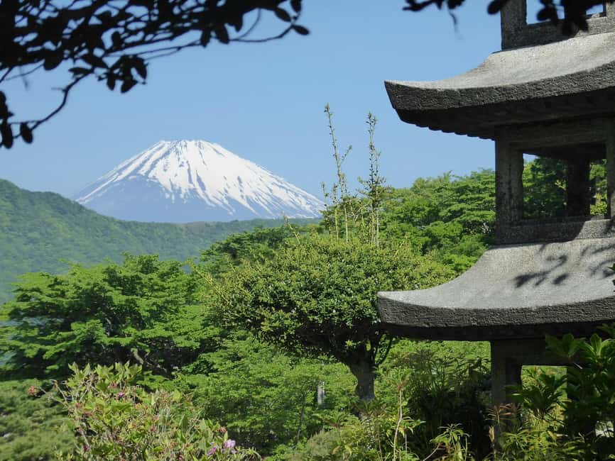 Mount Fuji: Customizable Private Tour By Car With Pickup - Fuji-Q Highland, or a very different kind of Fuji day