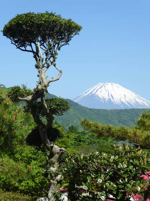 Mount Fuji: Customizable Private Tour By Car With Pickup - Saiko Iyashi-no-Sato Nenba, a reconstructed village