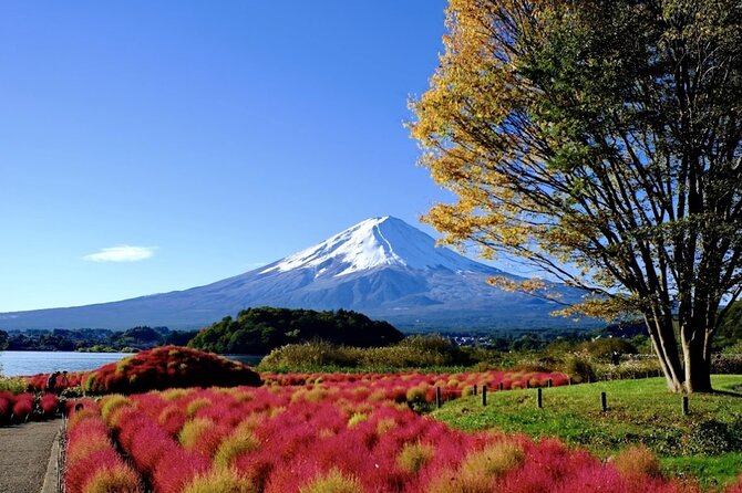 Mount Fuji Full Day Customized Private Tour with English Guide - What this Mount Fuji day is really like