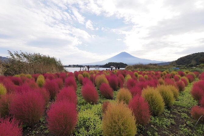 Mount Fuji Full Day Customized Private Tour with English Guide - Why the private format helps, and where it can fail