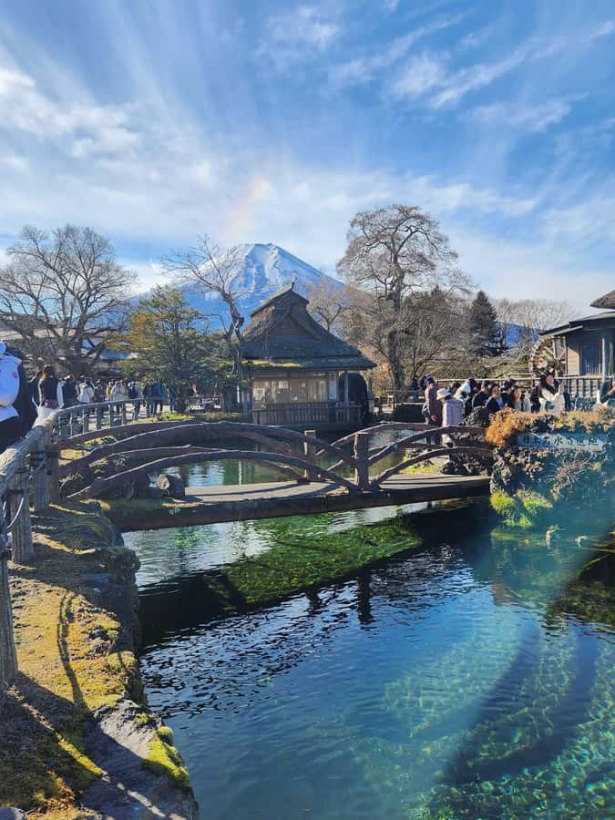 Mount Fuji Full-Day Private Sightseeing Tour with Guide - Riding in a private air-conditioned vehicle