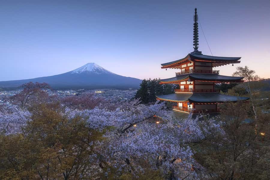 Mount Fuji Full-Day Private Sightseeing Tour with Guide - Lake Kawaguchi, Oishi Park, and a slower view of Fuji