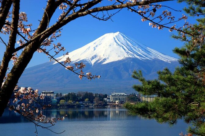 Mount Fuji Full-Day Private Tour from Tokyo (Customizable) - Key points at a glance