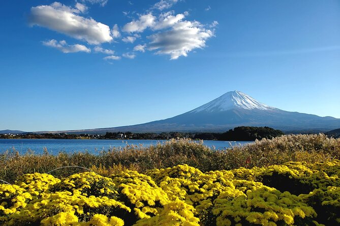 Mount Fuji Full-Day Private Tour from Tokyo (Customizable) - The early drive from Tokyo