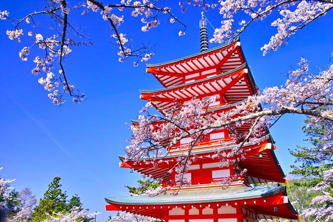 Mount Fuji Full Day Sightseeing Tour from Tokyo - Why this Mount Fuji tour works from Tokyo