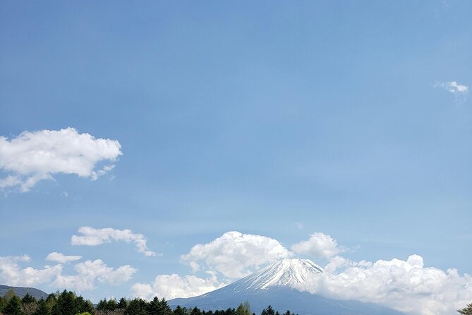 Mount Fuji (Mt. fuji) private tour by car with pickup from Tokyo - Kitaguchi Hongu Fuji Sengen Shrine
