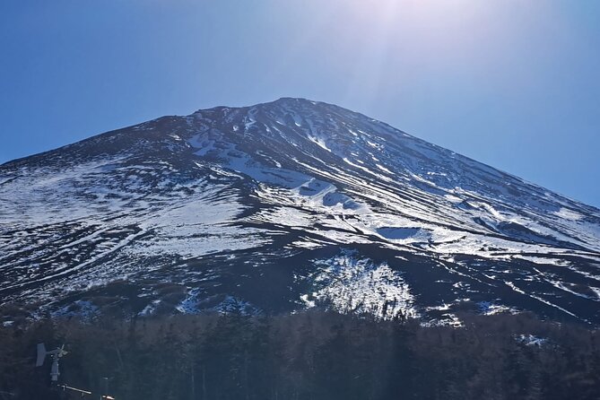 Mount Fuji (Mt. fuji) private tour by car with pickup from Tokyo - Saiko Iyashi no Sato Nemba and old-style houses