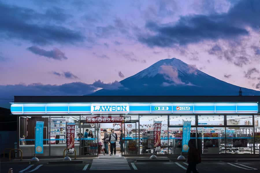 Mount Fuji Private Day Trip With Customizable Itinerary - From Tokyo to Fuji Country in a Private Van