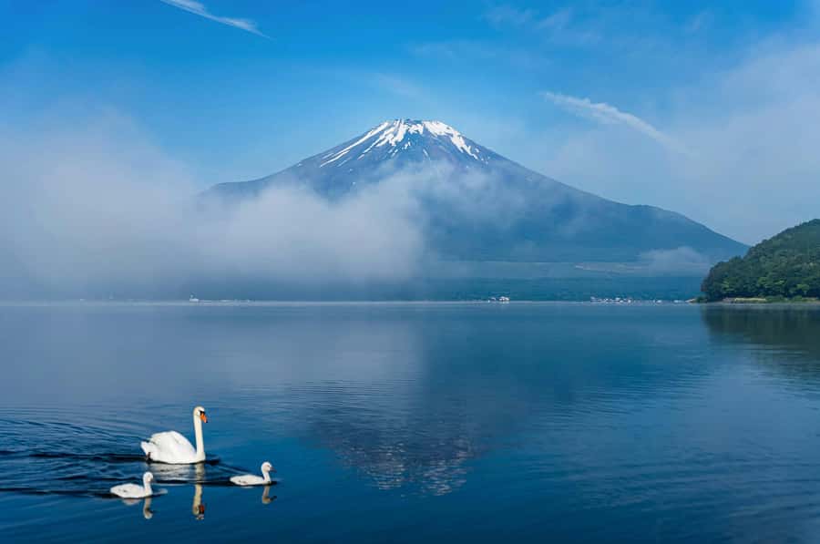 Mount Fuji Private Day Trip With Customizable Itinerary - Who Should Book This Fuji and Hakone Day?