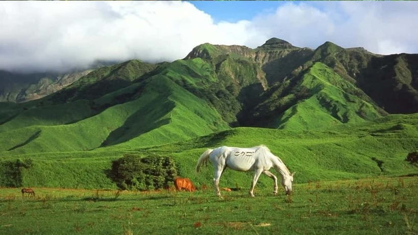 Mt. Aso & Takachiho Gorge Tour with Optional Boat Ride - The Guide Can Shape the Whole Day
