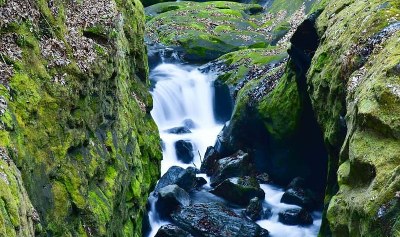 Mt. Aso & Takachiho Gorge Tour with Optional Boat Ride - Boat or Hiking Package?