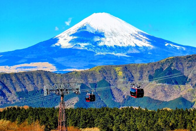 Mt Fuji and Hakone 1-Day Bus Tour Return by Bus - The Hakone Ropeway gives you the best broad views