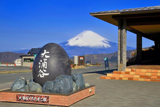 Mt Fuji and Hakone 1-Day Bus Tour Return by Bus - Group size, walking, and comfort