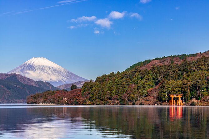 Mt. Fuji and Hakone Day Trip From Tokyo with Bullet Train Option - Owakudani’s sulfur vents and volcanic ground