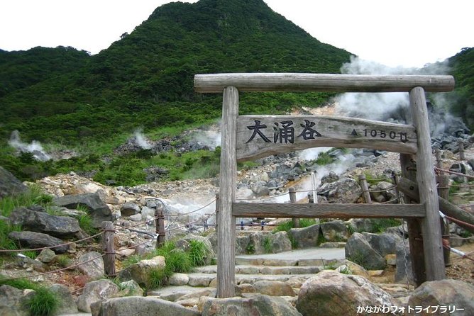 Mt. Fuji and Hakone Day Trip From Tokyo with Bullet Train Option - The Hakone Ropeway over the steaming valley