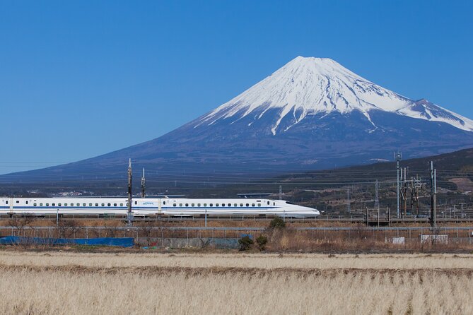 Mt. Fuji and Hakone Day Trip From Tokyo with Bullet Train Option - Meeting at Shinjuku’s LOVE sculpture