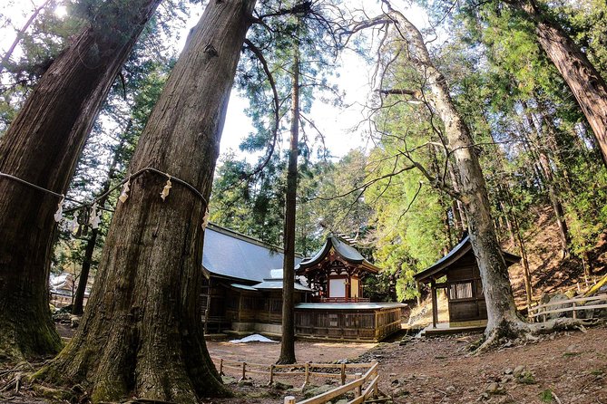 Mt Fuji Area Private Guided Tours in English-Nature up close, quiet, personal - Aokigahara Jukai, the Sea of Trees