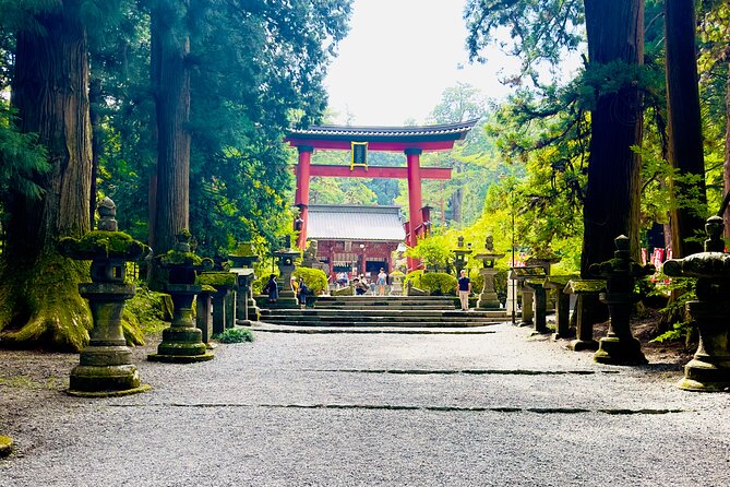 Mt. Fuji, Cherry Blossom & Shiba Sakura Pvt. Day Tour - Oishi Park and seasonal flower displays