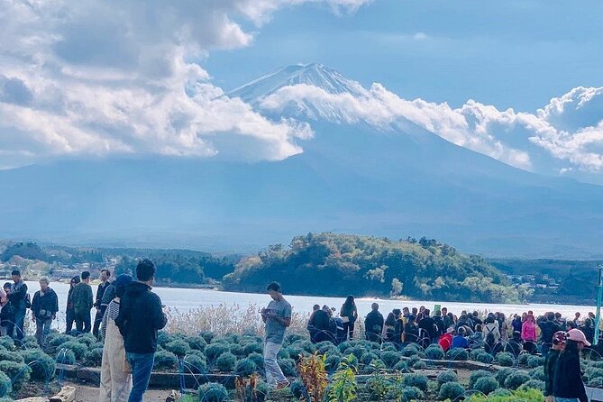 Mt. Fuji Day Trip from Tokyo with English Speaking Driver Guide - Why a private Mt. Fuji day trip can make sense