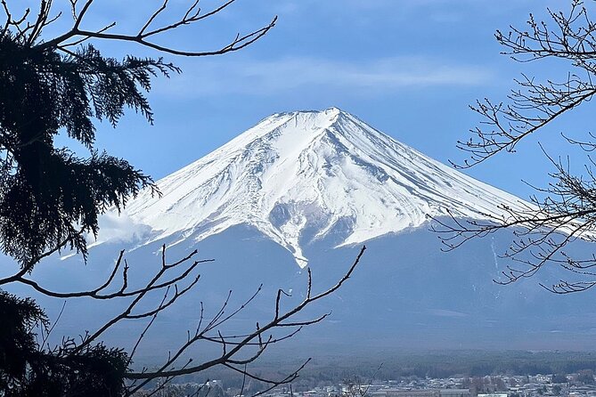 Mt. Fuji Day Trip from Tokyo with English Speaking Driver Guide - Mt. Fuji 5th Station puts you high on the mountain