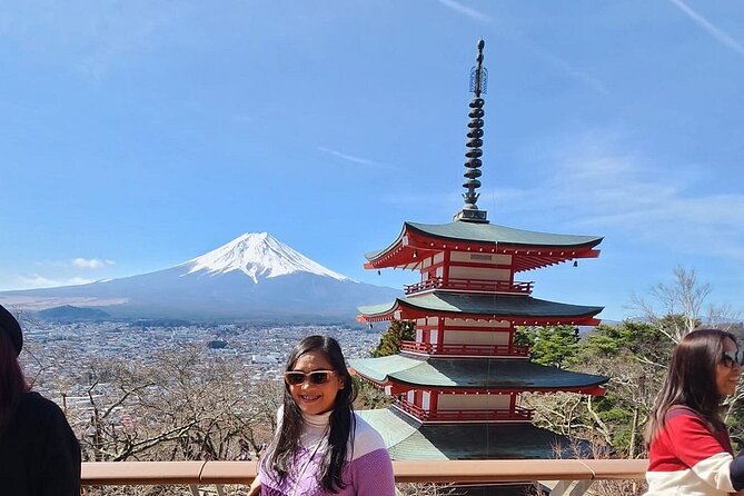 Mt. Fuji Day Trip from Tokyo with English Speaking Driver Guide - Weather, comfort, and vehicle concerns