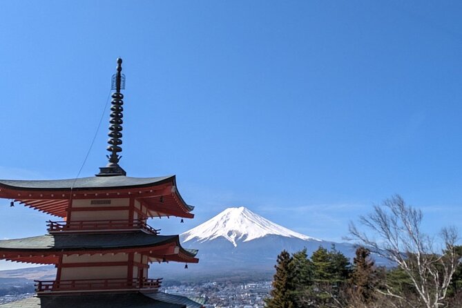 Mt. Fuji Day Trip from Tokyo with English Speaking Driver Guide - Leaving Tokyo early is your best strategy