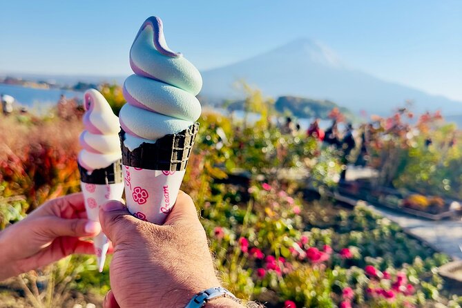 Mt. Fuji & Hakone Cherry Blossom private One Day Tour - One long day from Tokyo to Japan’s most famous mountain
