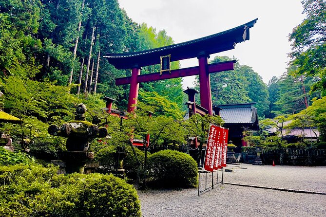 Mt. Fuji & Hakone Cherry Blossom private One Day Tour - Oshino Hakkai and the clear spring ponds
