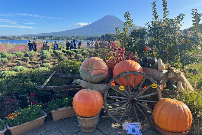 Mt. Fuji & Hakone Cherry Blossom private One Day Tour - What the $450 group price really buys