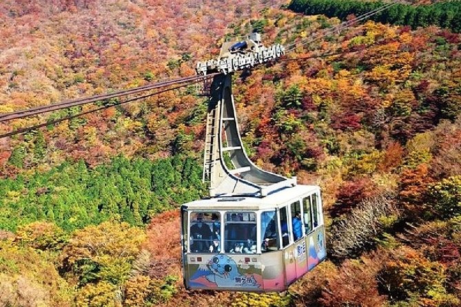 Mt Fuji & Hakone Cruise, Drum Show Bullet Train 1 Day from Tokyo - Odawara to Tokyo on a non-reserved Kodama