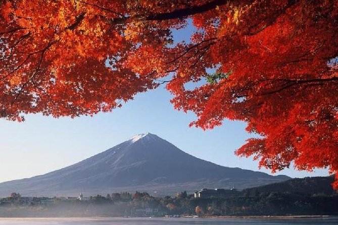 Mt Fuji & Hakone Cruise, Drum Show Bus 1 Day from Tokyo - Mt. Komagatake Ropeway and the summit